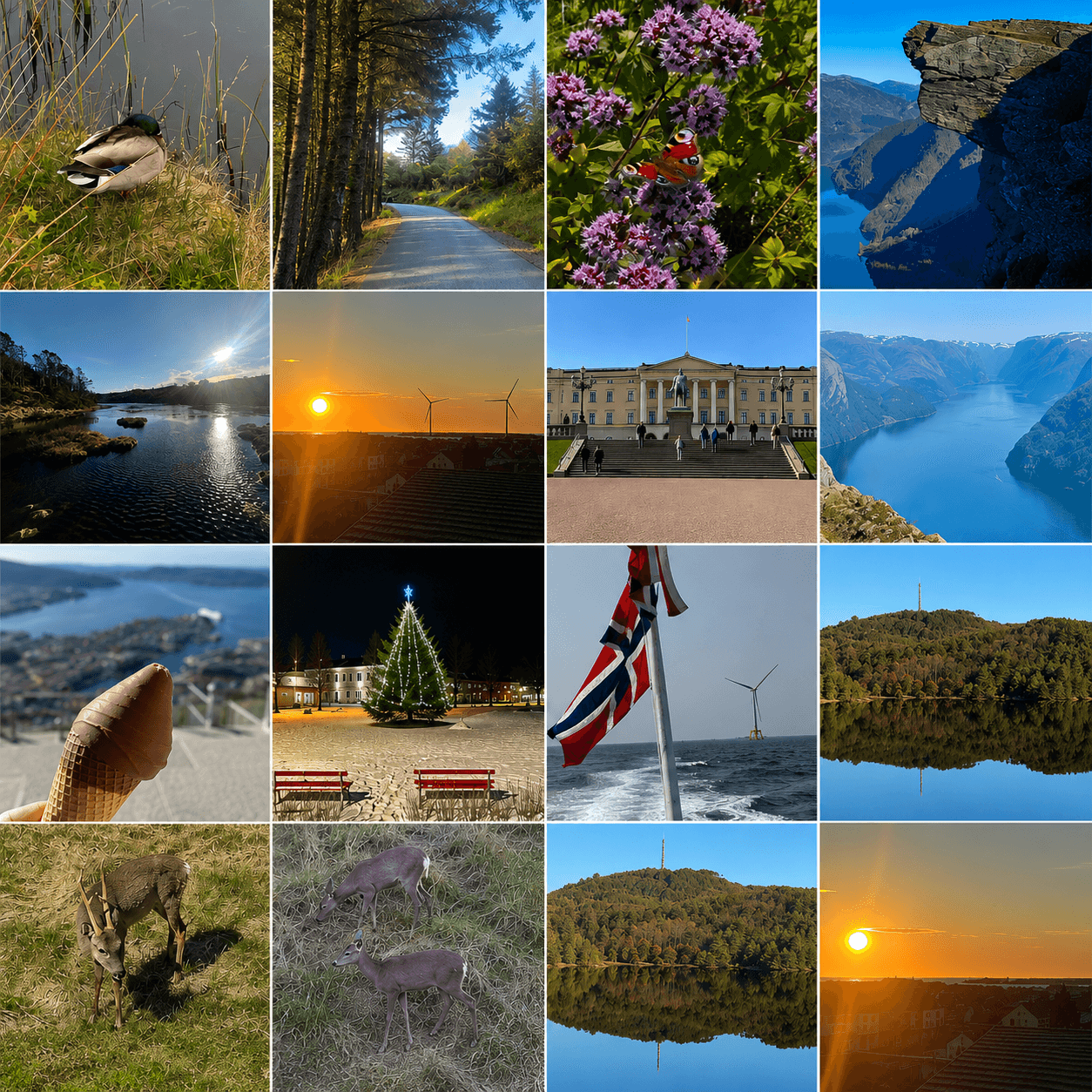 A collage of sixteen photos featuring Norwegian landscapes, wildlife, city landmarks, and sunset views.