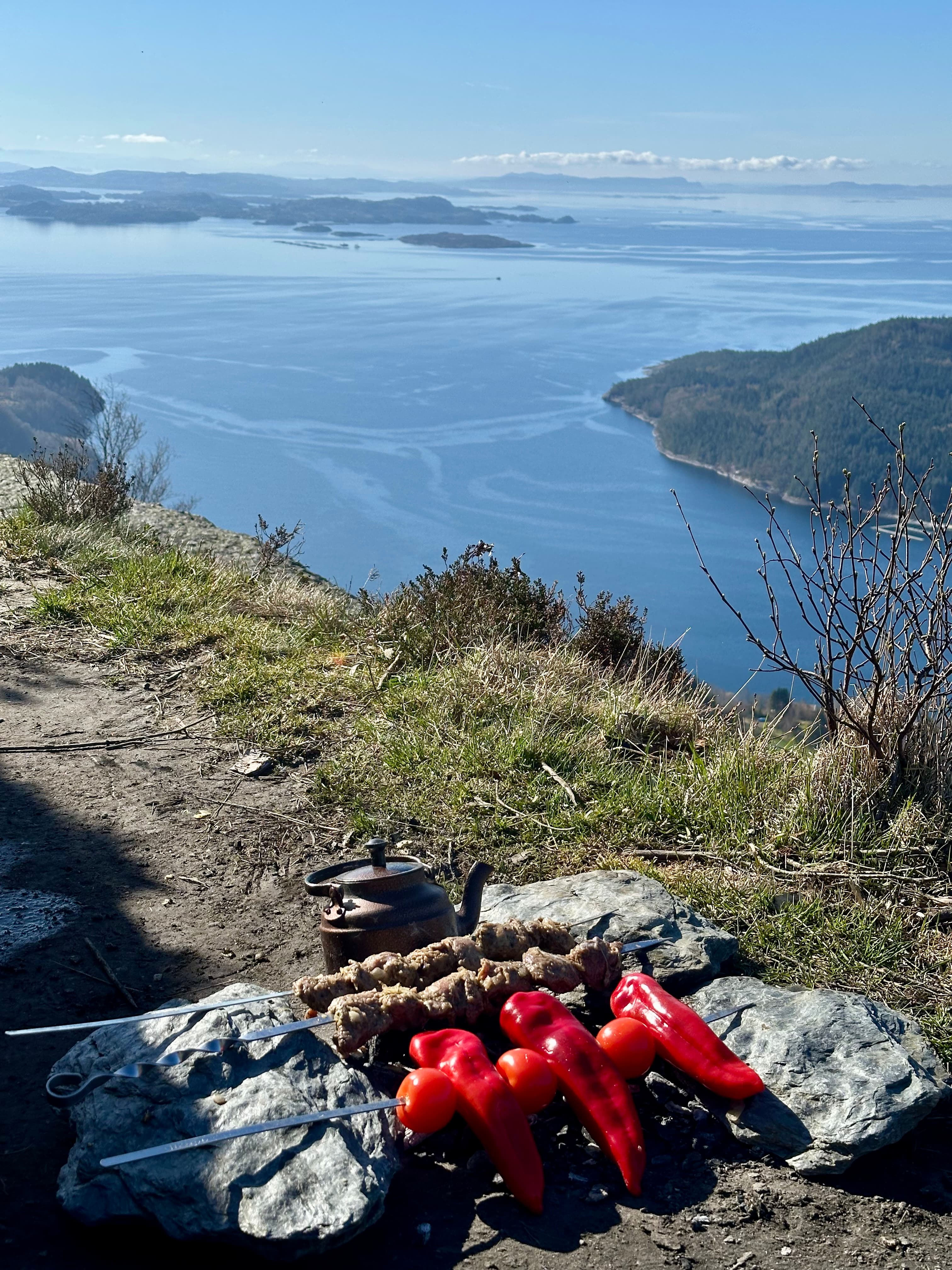 Meat and red pepper skewers cook on rocks overlooking a vast, scenic blue fjord.
